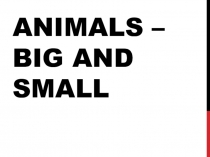 Презентация по английскому языку по теме Animals big and small 2 класс
