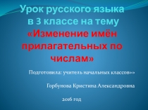 Презентация по русскому языку по теме Изменение имен прилагательных по числам