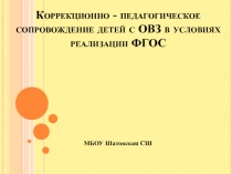 Коррекционно -педагогическое сопровождение детей с ОВЗ