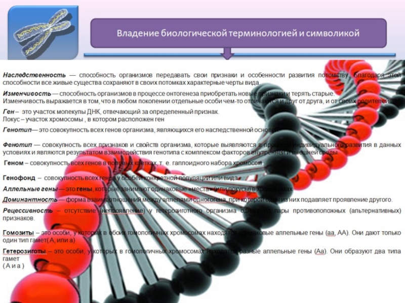 Совокупность генов определенного организма. Геном это совокупность. Совокупность генов организма. Геном это совокупность генов. Совокупность генов в гаплоидном наборе.