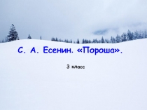 Презентация к уроку литературного чтения по теме С.Есенин Пороша Данная презентация послужит наглядным материалом к уроку.