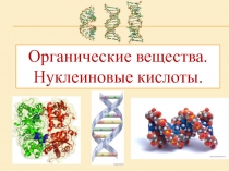 Презентация по биологии Органические вещества клетки