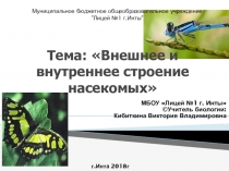 Презентация по биологии на тему Внешнее и внутреннее строение насекомых (7 класс)