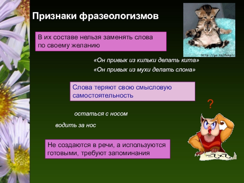 Создаются в процессе речи не требуют запоминания. Признаки фразеологизмов. Признаки фразеологизмов в русском языке. Основные признаки фразеологии. Фразеологические признаки.