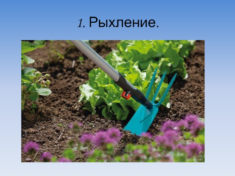 Методы подготовки почвы к посеву. Чем рыхлить почву. Рыхление почвы это 6 класс. Рыхление почвы. Плуг без оборота пласта.