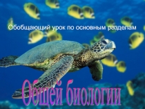 Презентация по биологии на тему Обобщение знаний по основным разделам общей биологии
