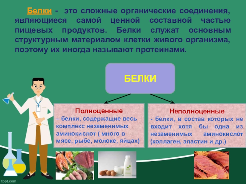 Презентация сыры по товароведению