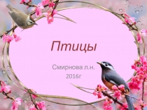 Презентация по внеклассной работе Птицы