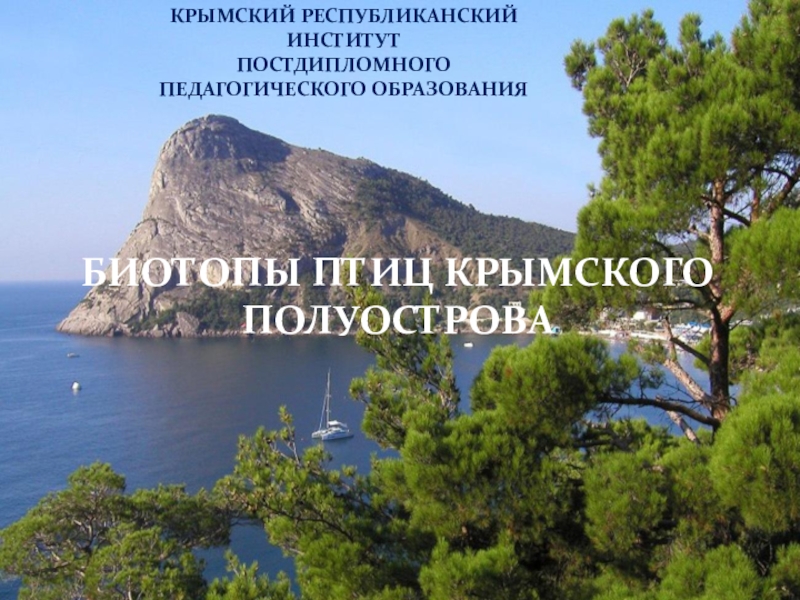 Презентация Презентация по теме:Биотопы птиц Крыма