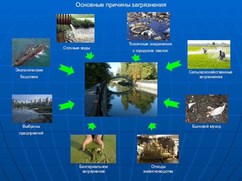 Экология воды проект