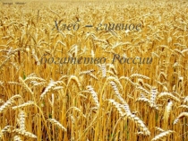 Презентация Хлеб главное богатство