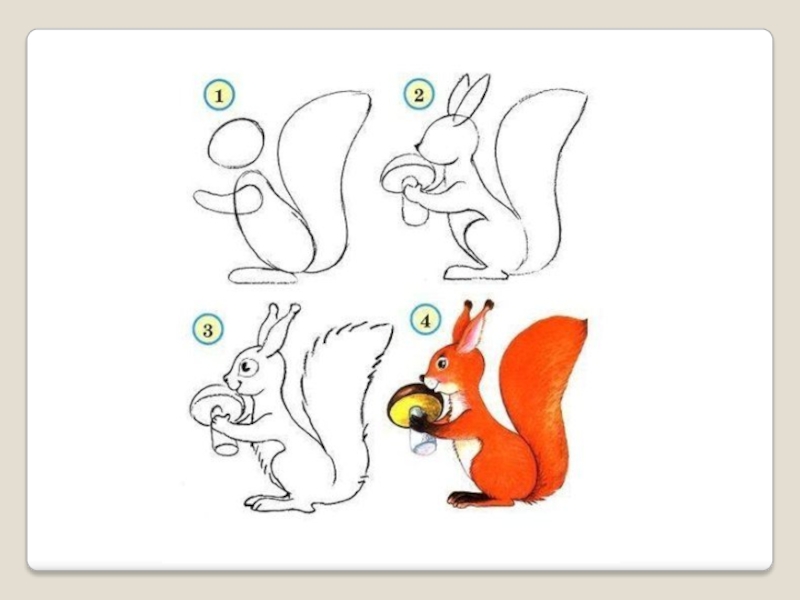Поэтапное рисование белки 2 класс презентация
