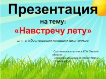 Презентация Навстречу лету для слабослышащих младших школьников