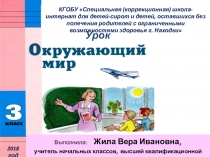 Презентация по окружающему миру на тему Герань (3 класс)