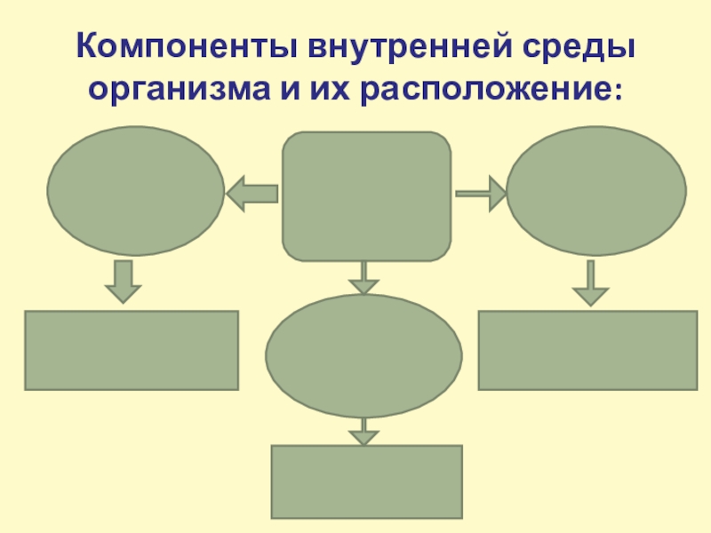 Компоненты организма. Компоненты внутренней среды. Внутренняя картина труда это.