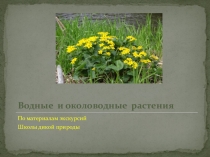 Презентация по биологии Водные и околоводные растения
