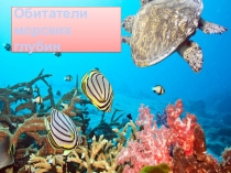 Презентация Обитатели морских глубин по окружающему миру в старшей группе