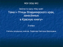 Презентация Птицы Владимирской края, занесённые с Красную книгу. Занятие по курсу Наш край
