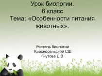 Особенности питания животных. Презентация. 6 класс. биология