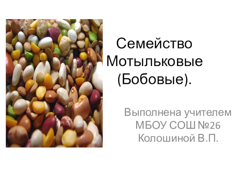 Значение бобовых мотыльковых в жизни человека. Бобовые. Семейство Мотыльковые презентация. Боб бобовые.