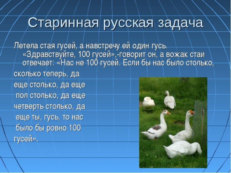 Гусь сколько соли. Задача про гусей. Загадка про гуся. Гусь задания. Задачка Гусь.