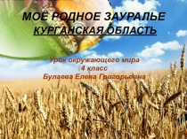 Презентация по окружающему миру. 4 класс. Моё родное Зауралье