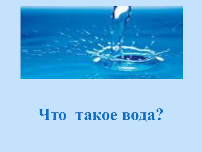 Проект по биологии на тему вода основа жизни на земле