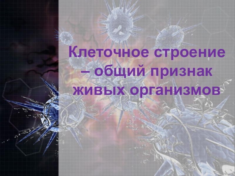 Клетки организмов всех живой природы. Клеточное строение общий признак живых организмов. Что объщего в строение всех живых организмов. Что общегов строениевсех живых организмов. Клеточное строение свойство живого организма.