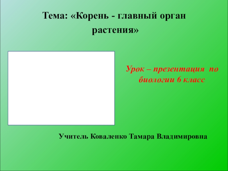 Корень главный орган растения проект 6 класс