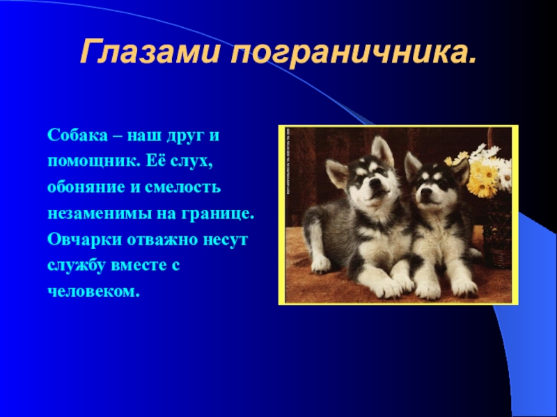 Презентация о собаках 4 класс