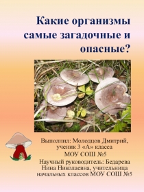 Презентация к исследовательской работе Какие организмы самые загадочные и опасные