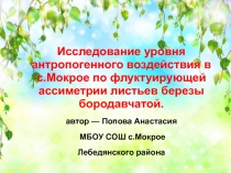 Презентация к проекту - Исследование уровня антропогенного воздействия в с.Мокрое по флуктуирующей ассиметрии листьев березы бородавчатой.