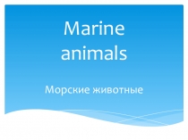 Презентация английский язык Морские животные 3 класс УМК Комарова