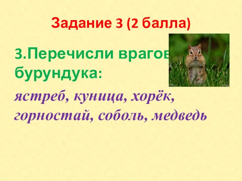 Задание 3 (2 балла)3.Перечисли врагов бурундука:ястреб, куница, хорёк, горностай, соболь, медведь