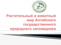 Презентация Растительный и животный мир Алтайского государственного природного заповедника