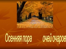Брейн-ринг в 5-7 классах