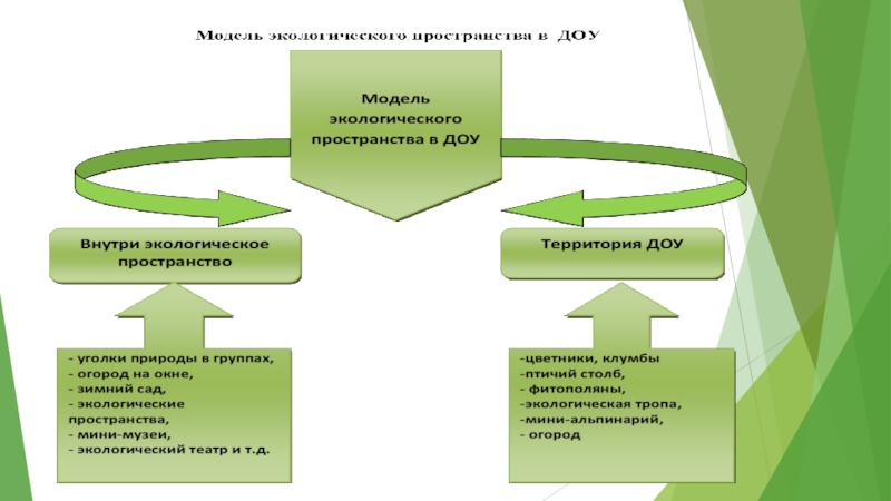 Экологическое пространство в доу презентация