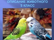 Презентация по русскому языку на тему Описание животного (5 класс)