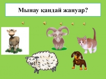 Презентация по казахскому языку Домашние животные