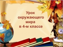 Презентация к уроку по окружающему миру на тему: Первые школы (4 класс)