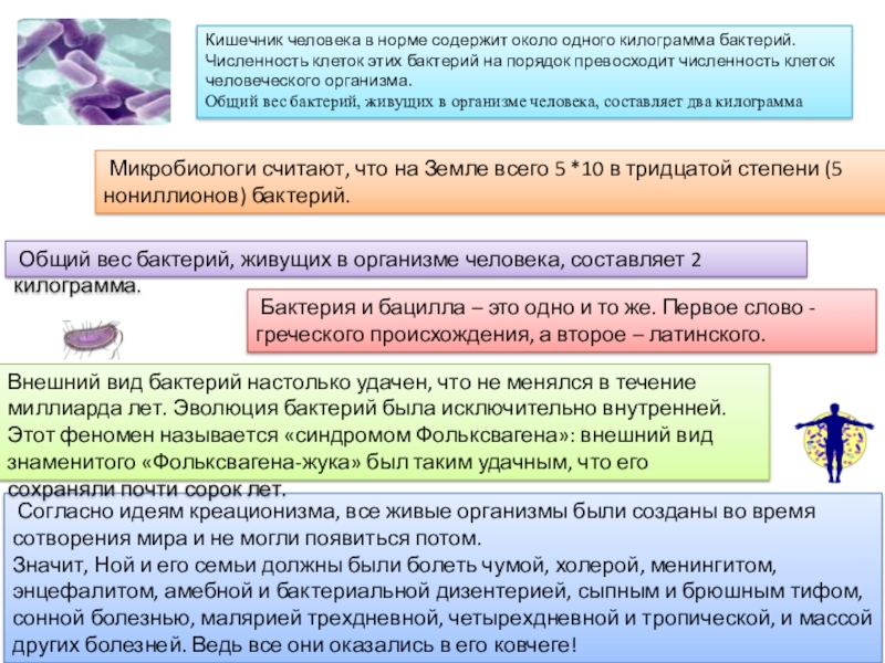 Согласно идеям. Использование бактерий в хозяйственной деятельности человека. Бактерии используются в хозяйственной деятельности человека:. Как бактерии используются в хозяйственной деятельности человека. Согласно креационизму живые организмы зародились самопроизвольно.