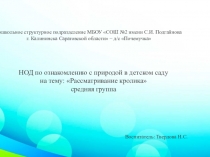 НОД по ознакомлению с природой в детском саду на тему: Рассматривание кролика средняя группа