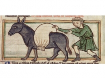 Историческая Игра Бестиарий (6 класс)