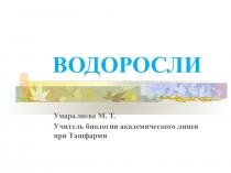 Водоросли