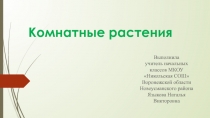 Презентация по окружающему миру на тему Комнатные растения (1класс)