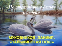 Презентация по роману Б. Васильева Не стреляйте в белых лебедей