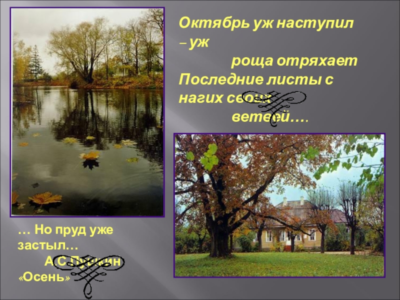 Роща отряхает. Октябрь уж наступил уж роща отряхает. Пушкин осень октябрь уж наступил. Октябрь уж наступил открытки. Октябрь уж наступил доброе утро.