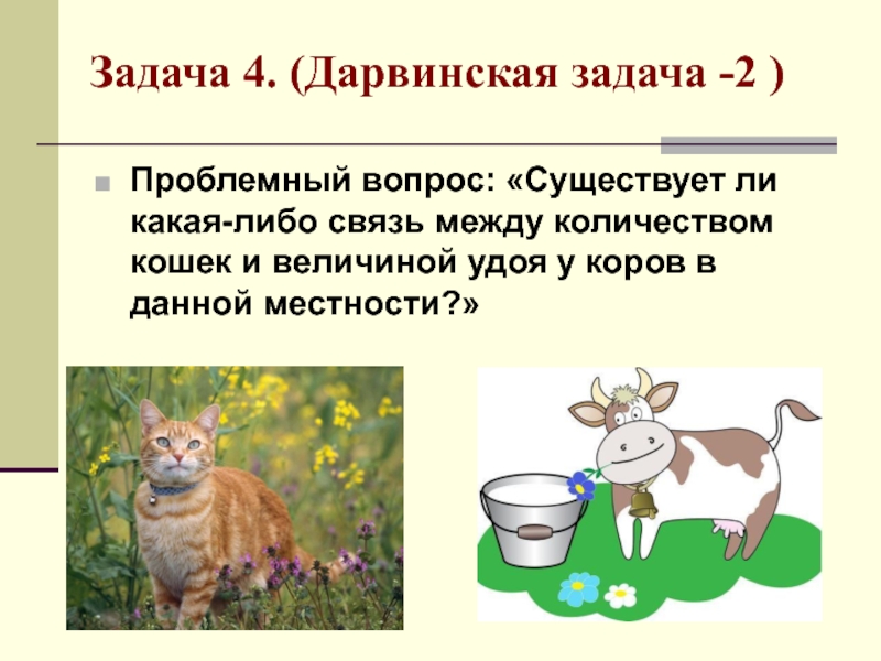 Экологические задачи. Решение экологических задач. Экологические задачи с решением по экологии. Задачи по экологии на цепи питания. Задачи по биологии на экологию.