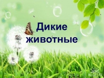 Дикие животные