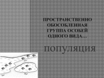 Презентация по биологии на тему Популяция